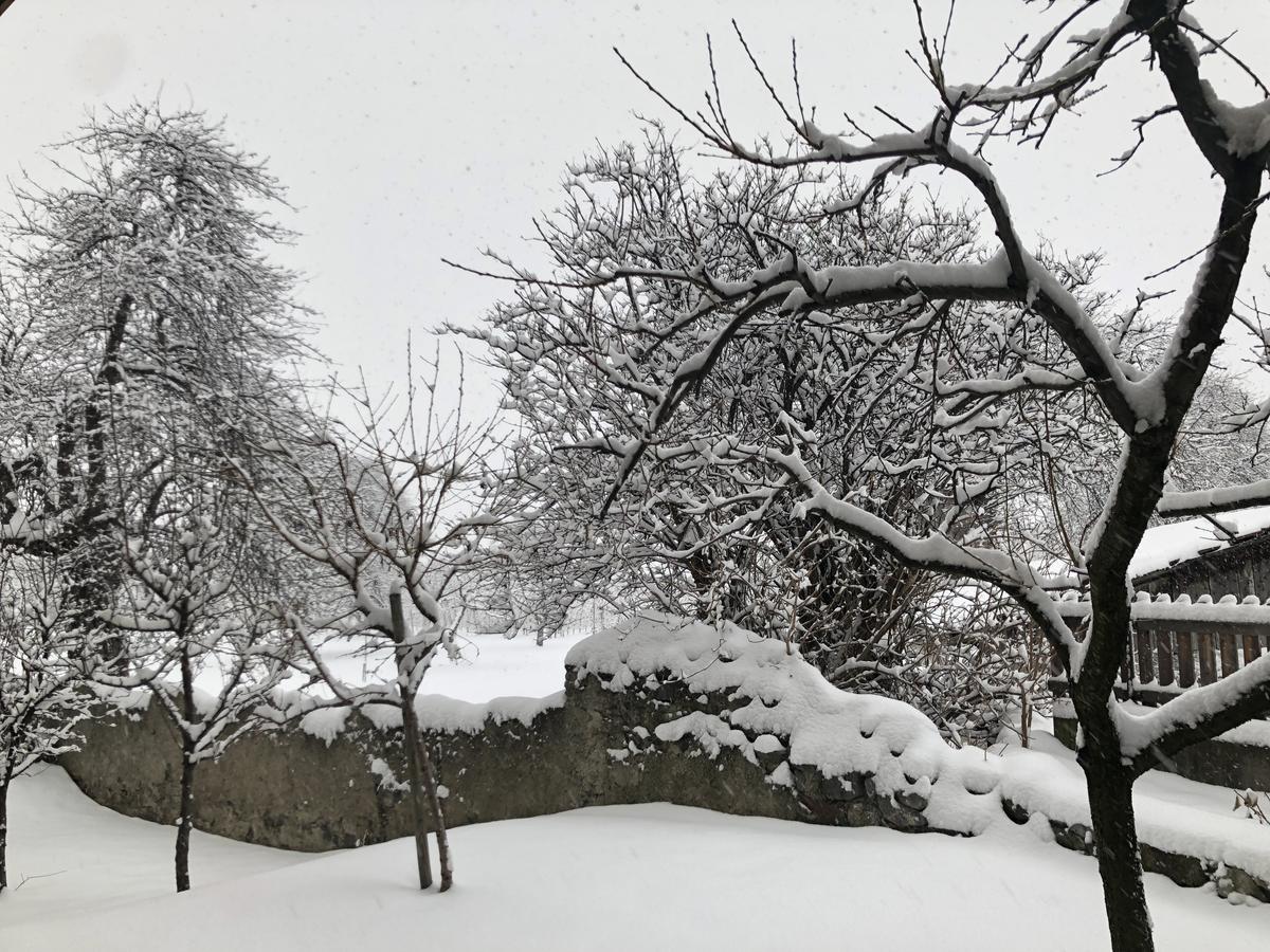 Garni Glurnserhof المظهر الخارجي الصورة